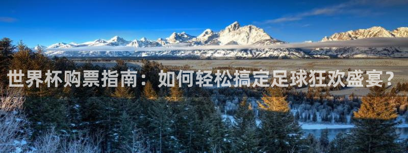 世界杯决赛圈球队：世界杯购票指南：如何轻松搞定足球狂欢盛宴？