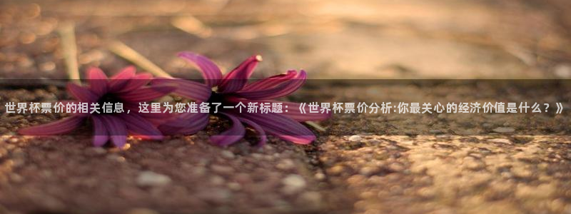 2006年世界杯冠军