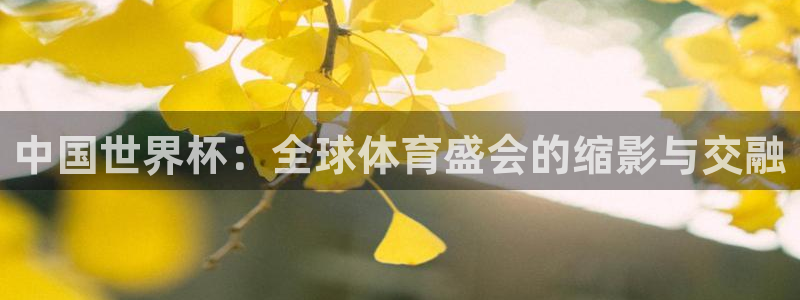 2026葡萄牙杯赛程表:中国世界杯:全球体育盛会的缩影与交融