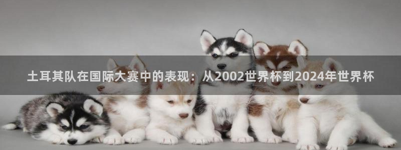 2026世亚预赛赛程表：土耳其队在国际大赛中的表现：从2002世界杯到2024年世界杯