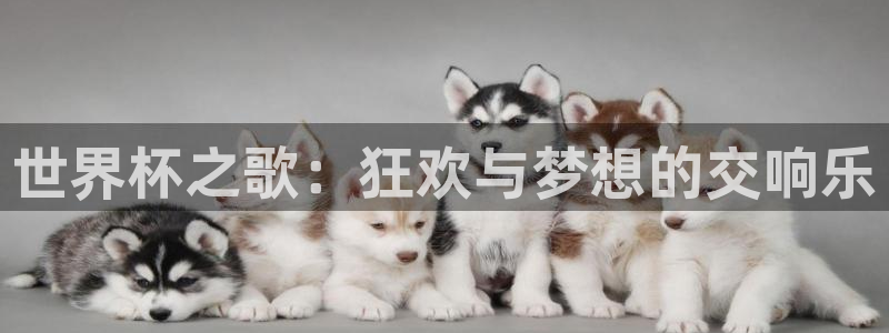 今年世界杯：世界杯之歌：狂欢与梦想的交响乐