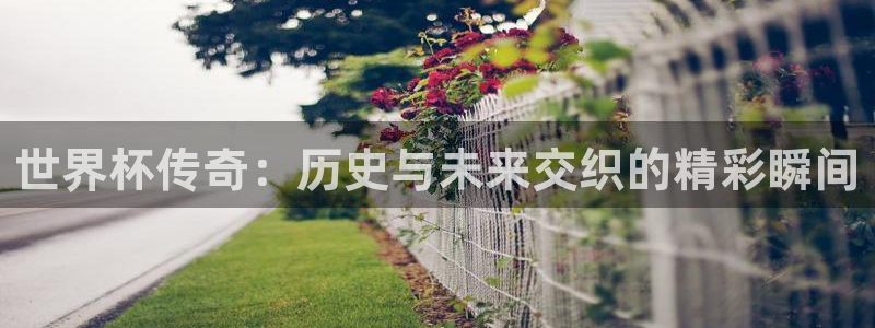 2026世界杯倒计时：世界杯传奇：历史与未来交织的精彩瞬间