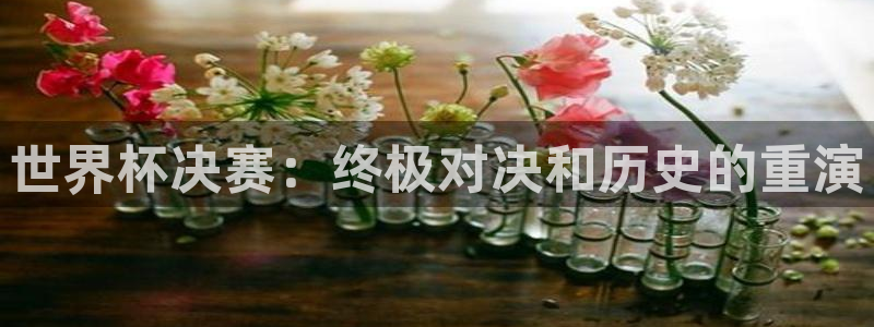 葡萄牙世界杯赛程：世界杯决赛：终极对决和历史的重演