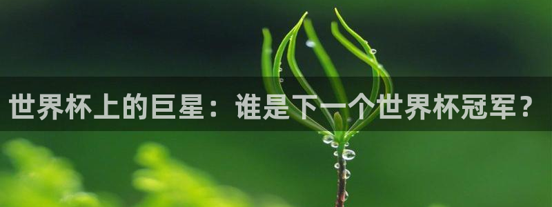 2026年男足世界杯：世界杯上的巨星：谁是下一个世界杯冠军？